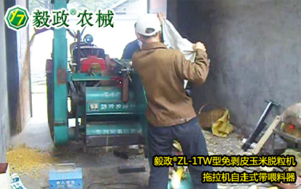 毅政牌ZL1TW型拖拉机自走式带喂料器的免剥皮玉米脱粒机操作视频