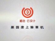 橙色云果園壟上除草機(jī)作業(yè)視頻