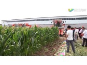 山东国丰4YZP-4EI自走式玉米收获机