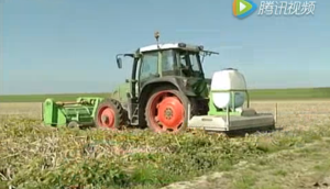 比利时AVRRafale系列土豆灭秧机