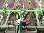 比利时AVR公司Ecoridger土豆除草机