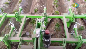 比利時(shí)AVR公司Ecoridger土豆除草機(jī)