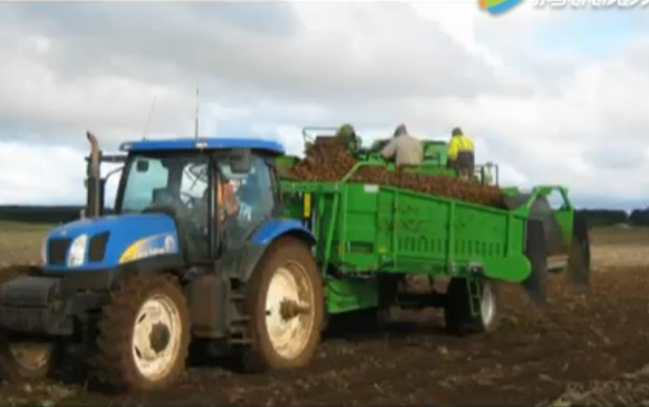 比利时AVR公司6100土豆收获机