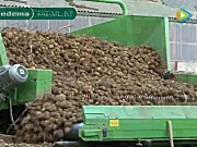 麦迪玛马铃薯输送机械