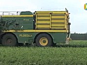 Ploeger公司BP2100豌豆收获机