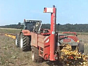 斯太尔拖拉机牵引Moty南瓜籽收获机-作业视频