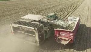 WBH农场机械化收获洋葱航拍-作业视频