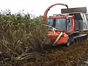 Pisten公司自走式芦苇粉碎机-作业视频