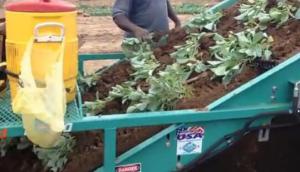 Shuknecht公司蔬菜秧苗起收机-作业视频