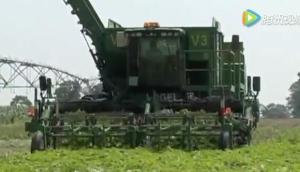 VOGEL公司自走式黃瓜收獲機-作業視頻
