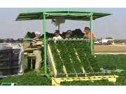 Hortech公司SlideTW蔬菜收獲機-作業(yè)視頻