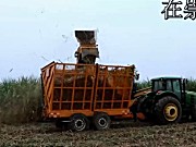 广西柳工4GQ-350甘蔗收获机大型机实地运行视频