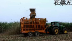 廣西柳工4GQ-350甘蔗收獲機大型機實地運行視頻