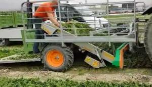 ORTOMEC公司4000系列蔬菜收获机-作业视频