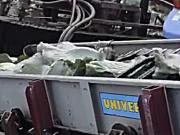 UNIVERCO公司卷心菜收获机-作业视频