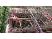 迪沃夫Kwatro系列馬鈴薯收獲機