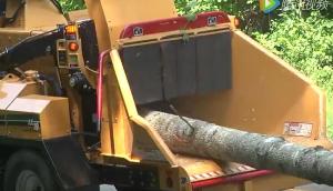 威猛AX19木材粉碎机-作业视频