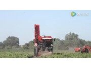 迪沃夫RA系列自走式馬鈴薯收獲機