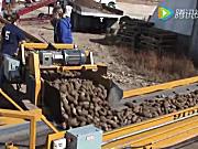 Double L公司9100系列马铃薯转运机-作业视频
