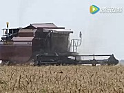 戈梅利联合收割机麦收作业