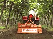 马恒达YUVO系列拖拉机-作业视频