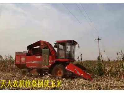 天人TR9988收获倒伏玉米作业视频