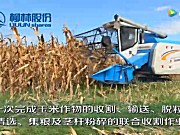 柳林玉米收割机演示现场视频