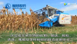 柳林玉米收割機演示現場視頻