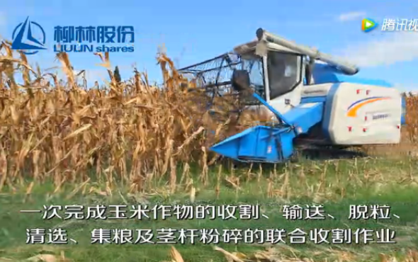 柳林玉米收割机演示现场视频