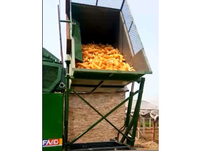 金大丰玉米机卸粮视频