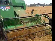 金大丰水稻机收割倒伏小麦演示视频