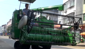 金大丰4LZ-5水稻收割机现场演示视频
