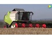 科樂收（CLAAS)TUCANO430收割機作業(yè)實拍視頻