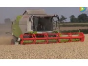 科樂收（CLAAS)TUCANO450收割機(jī)作業(yè)實拍視頻