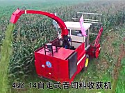 牧泽4QZ-14型自走式青饲料收获机作业视频