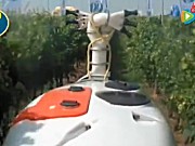 博格公司果园用弥雾机和喷药机作业视频