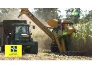 Canetec公司AX5000甘蔗收獲機視頻