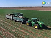 2016年Grimmway农场胡萝卜收获航拍视频