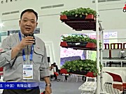 洋马油菜移栽机视频详解——2018国际农机展
