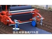 意大利法拉利（FERRARI）FPA型移栽機(jī)作業(yè)視頻