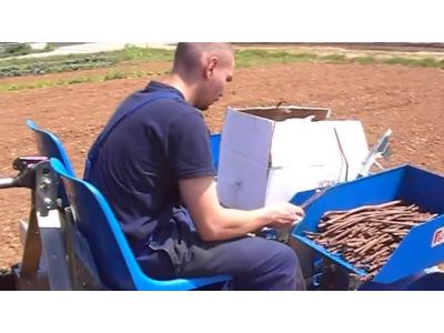 意大利法拉利(FERRARI)FPP型移栽机作业视频