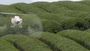 汉和航空水星一号植保无人机宜兴茶园作业视频