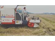 金大丰-2018款新款水稻机收割小麦和油菜视频