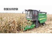 金大丰4YZL-5玉米籽粒联合收获机作业视频