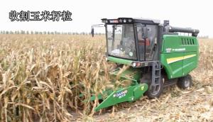 金大丰4YZL-5玉米籽粒联合收获机作业视频