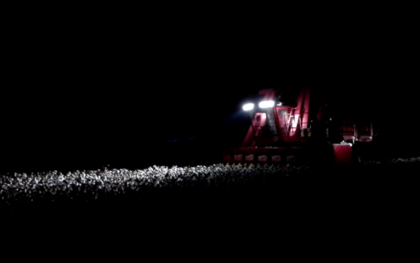 钵施然4MZ-6A自走式棉花收获机夜间作业视频