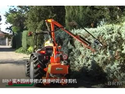 意大利RINIERI BRM灌木园林单臂式横竖可调式修剪机