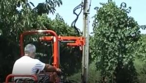意大利RINIERI CRV果园葡萄园三刀修剪机，标准化和常规果园适用－前置