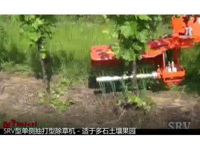 意大利RINIERI SRV型单侧抽打型除草机－适于多石土壤果园
