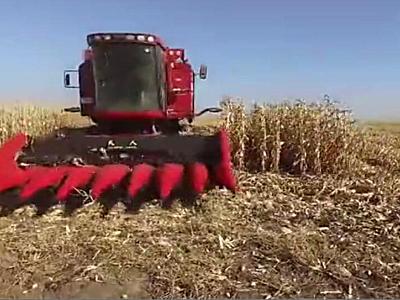 国内玉米割台第**品牌 天人农机视频
